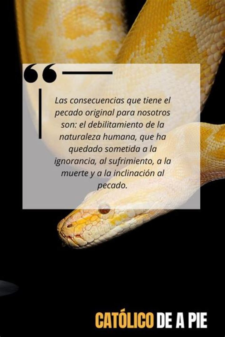 consecuencias del pecado original