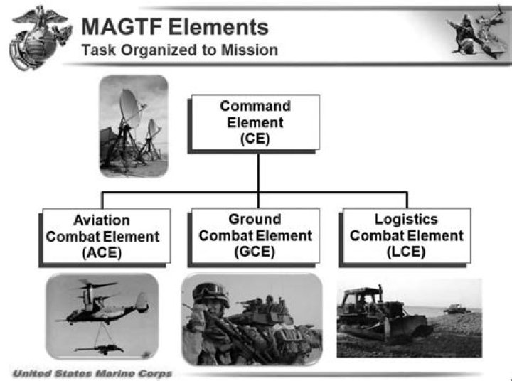 core element of magtf