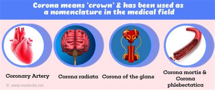 coron/o medical term