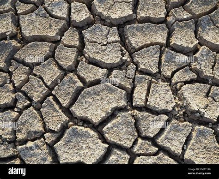 cracks in the ground