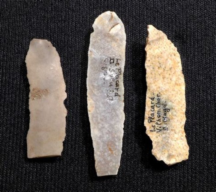 cromagnon tools