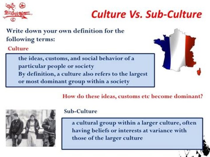 culture vs subculture