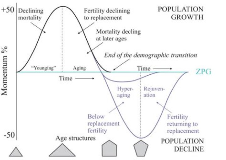 demographic momentum ap human geography