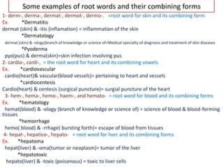 dermo medical term