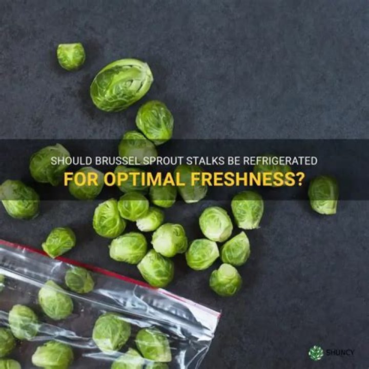 do brussel sprout stalks need to be refrigerated