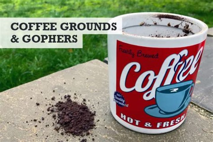 do coffee grounds repel gophers