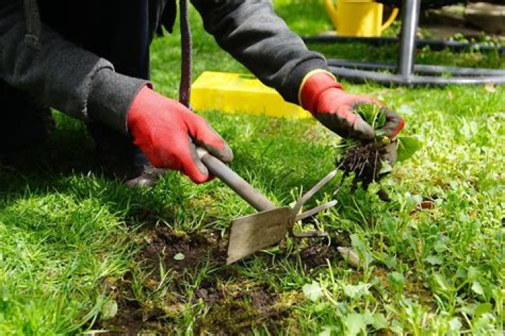 do i need to remove grass before decking