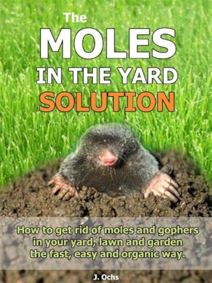 do moles run fast