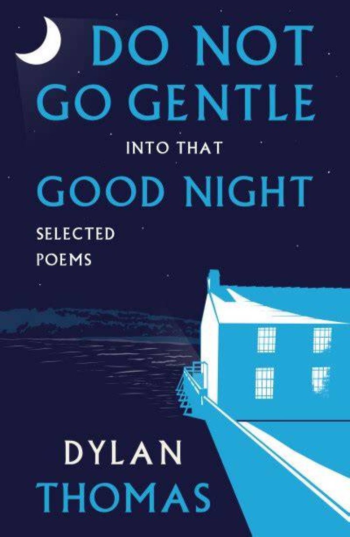 do not go gentle into that good night literary devices