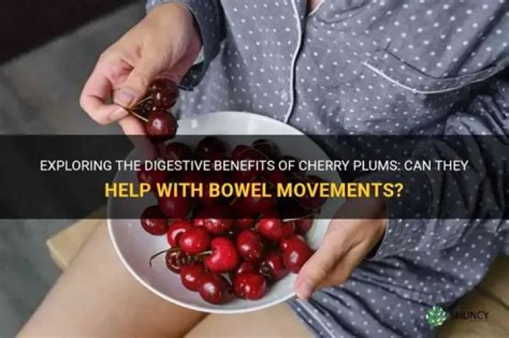 do plums make you poop like prunes