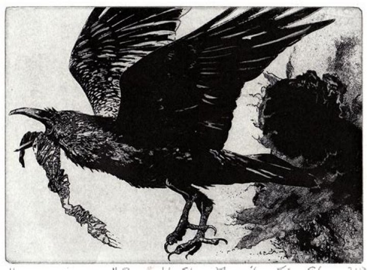 do ravens like shiny objects