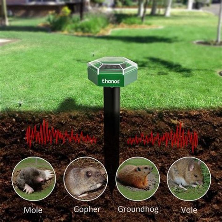 do sonic gopher repellents work
