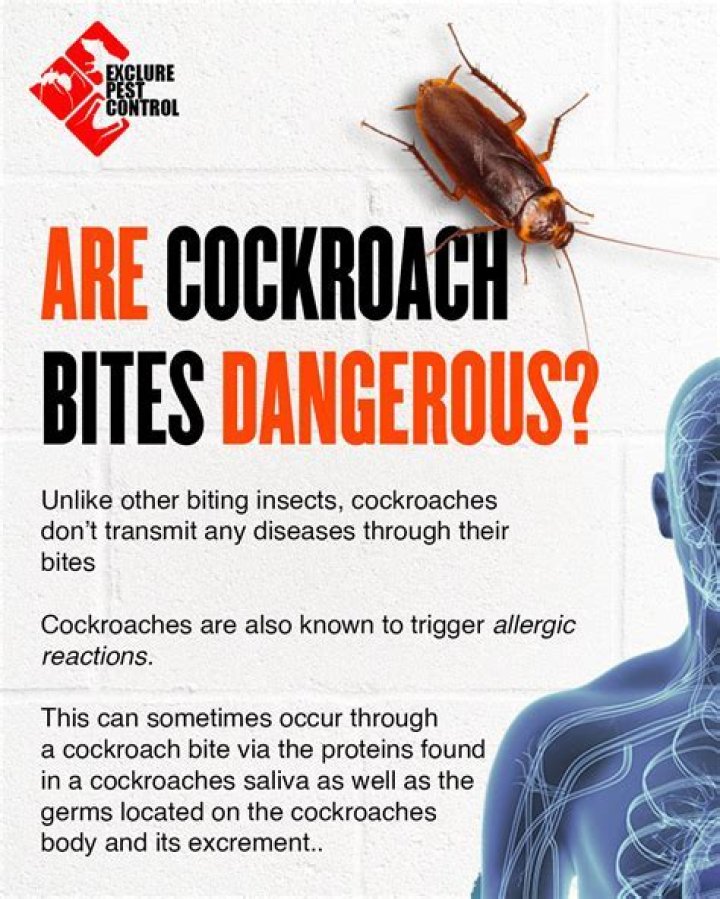 do wood roaches bite