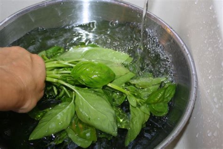 do you wash basil