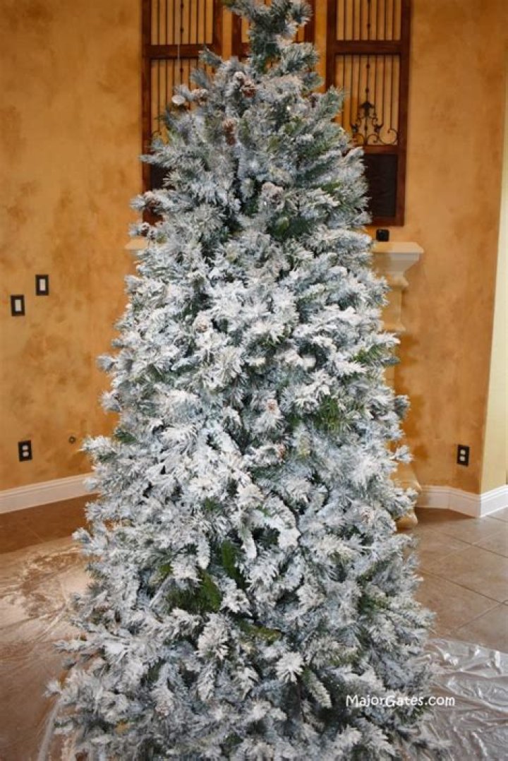 do you water a flocked christmas tree