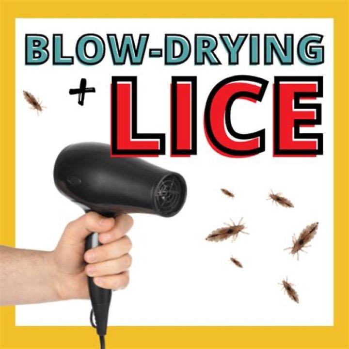 does a dryer kill lice