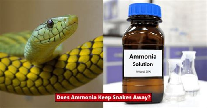 does ammonia keep animals away