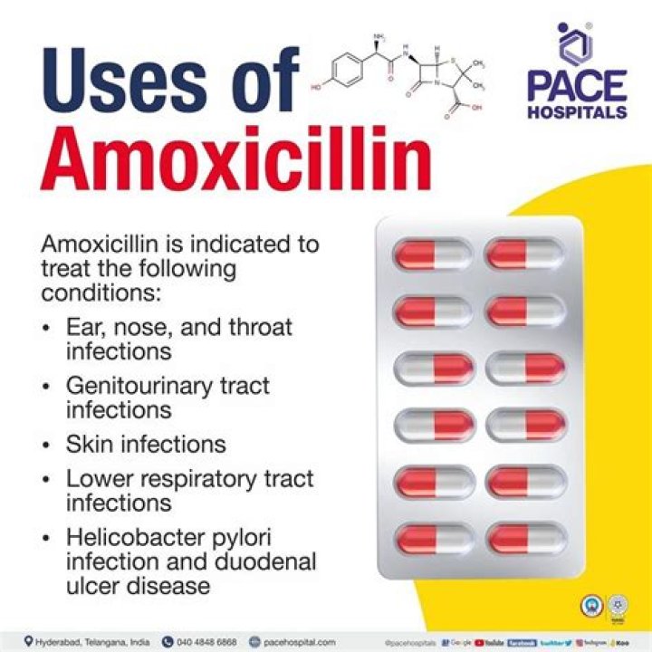 does amoxicillin make you pee a lot