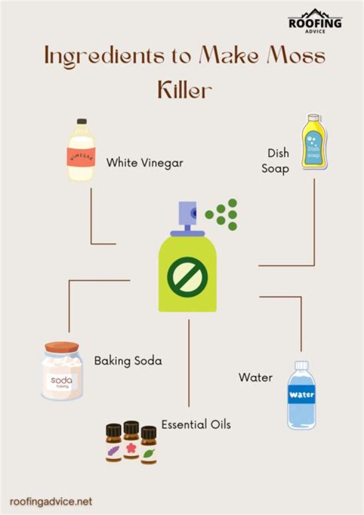 does baking soda kill moss on roofs