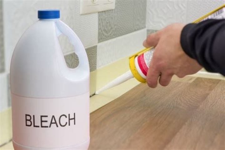 does bleach damage silicone