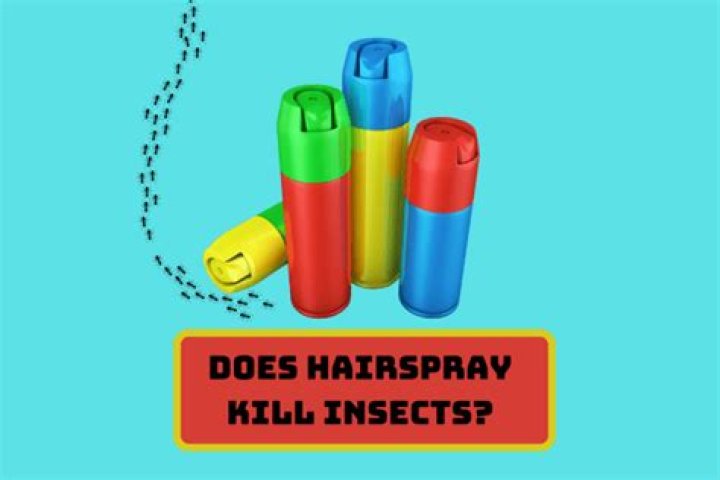 does hairspray kill flies