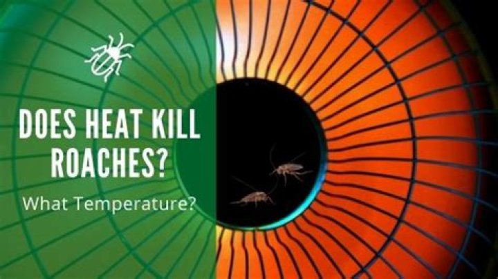 does heat kill roaches