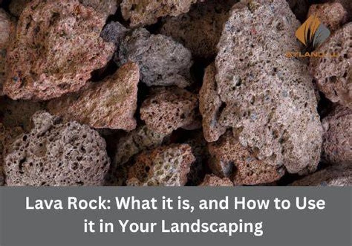 does lava rock kill plants