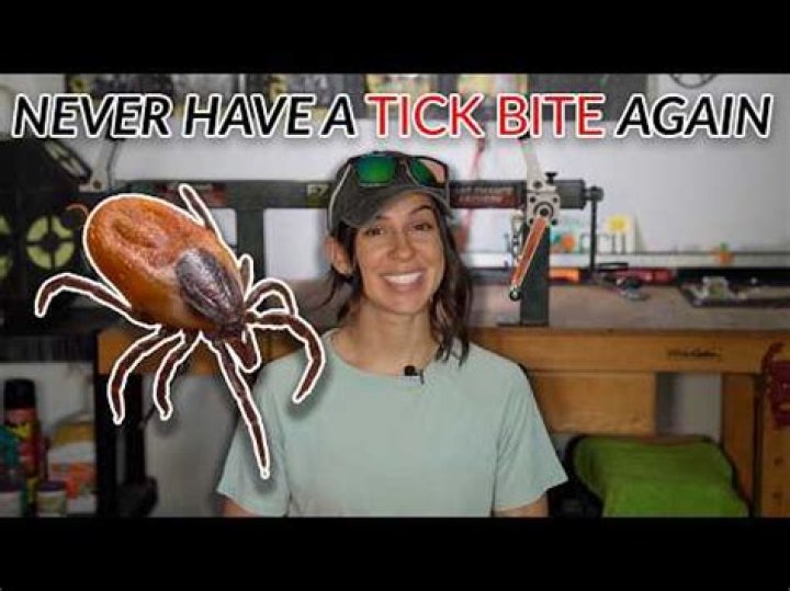 does lime kill ticks