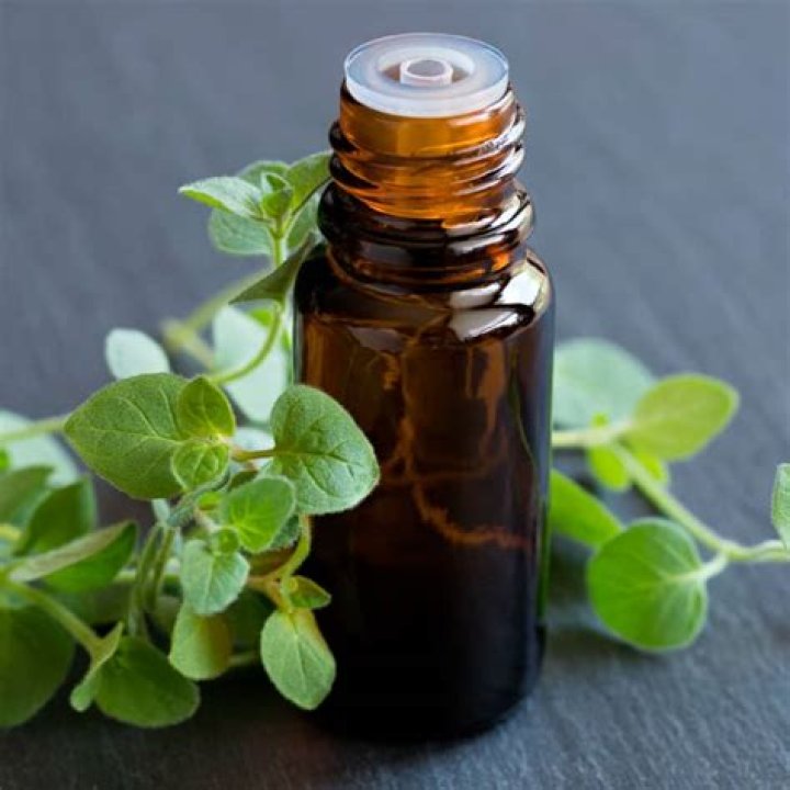 does oregano oil make you poop