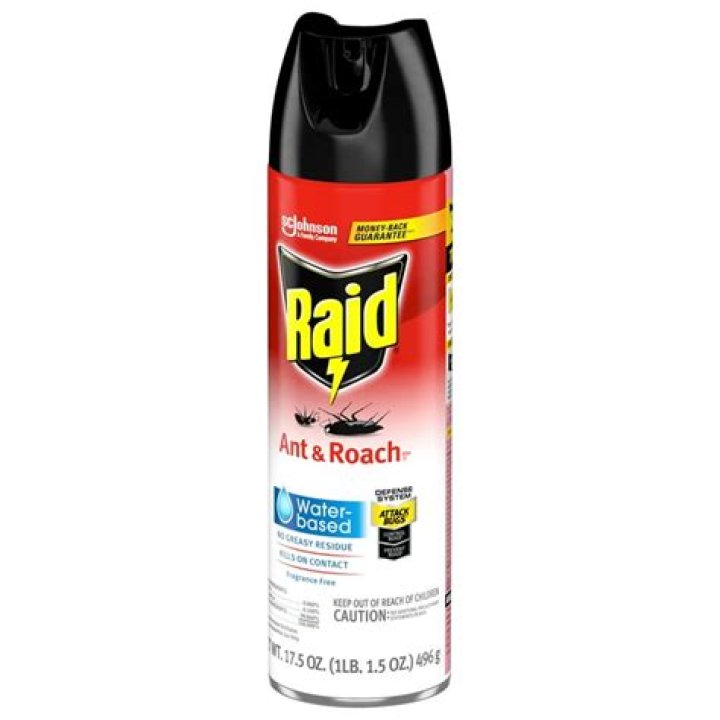 does raid kill mice