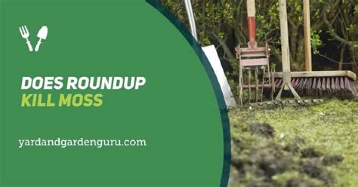 does roundup kill moss