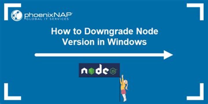 downgrade node