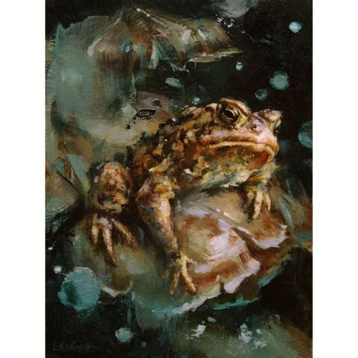 dreaming of toads