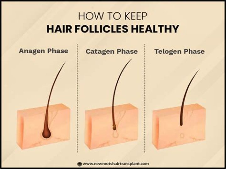 eating hair follicles
