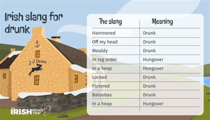 edsu slang