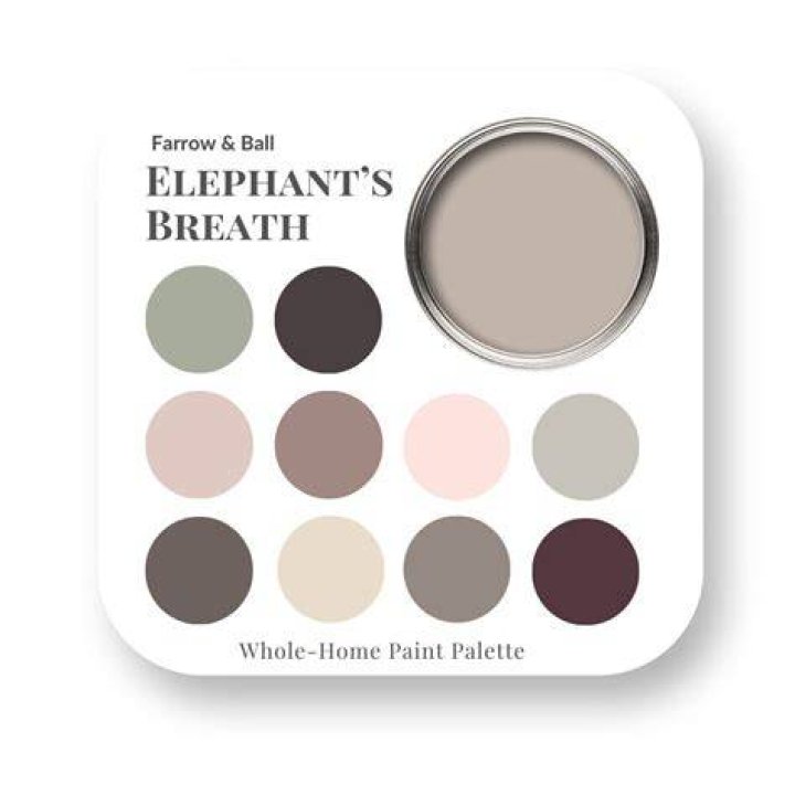 elephants breath color