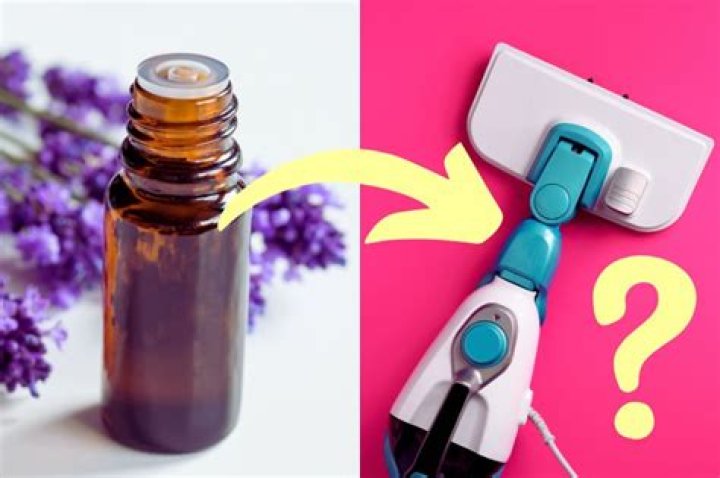 essential oil in steam mop