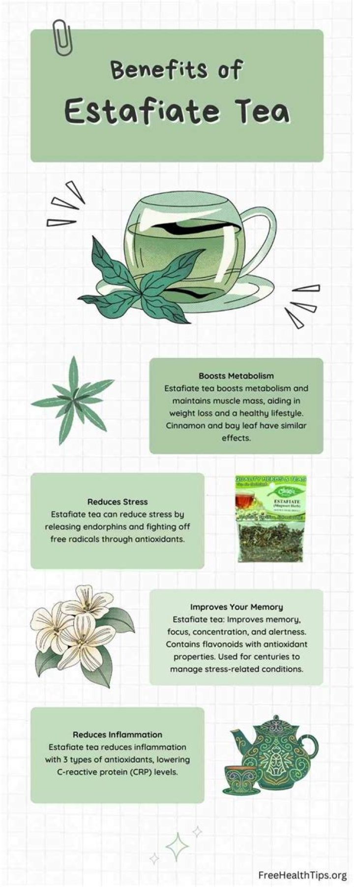 estafiate tea benefits