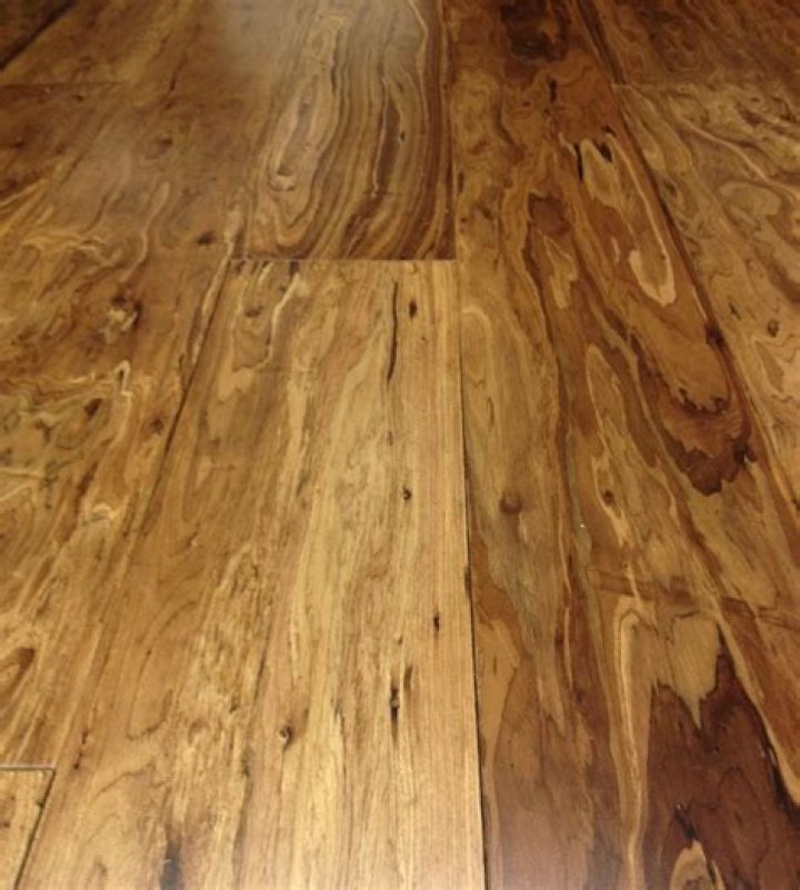 eucalyptus hardwood