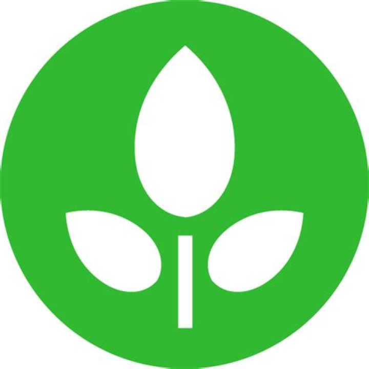 eve wall e plant