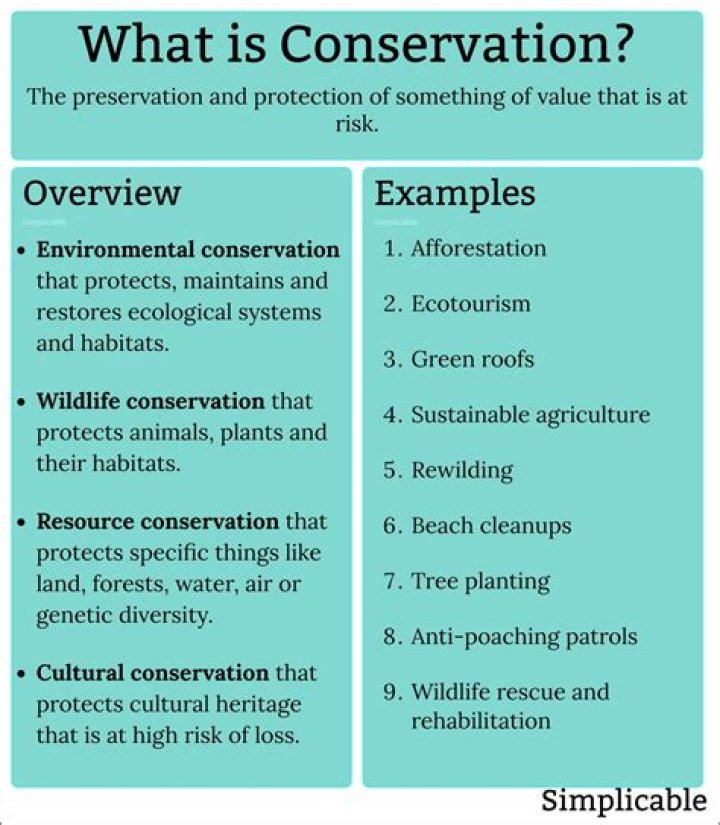 example of conservation