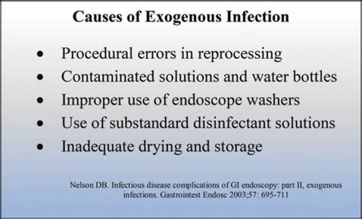exogenous infection