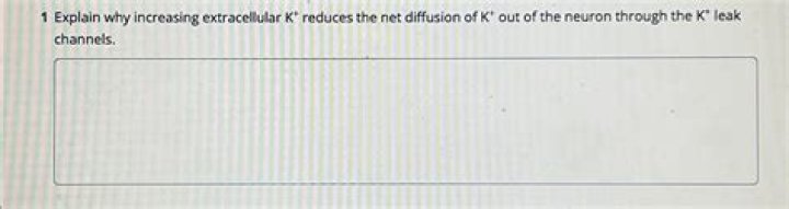 explain why increasing extracellular k+ reduces the net diffusion of k+ out of the neuron