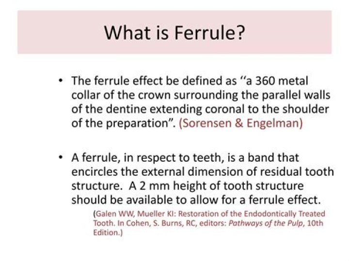 ferrule is made of