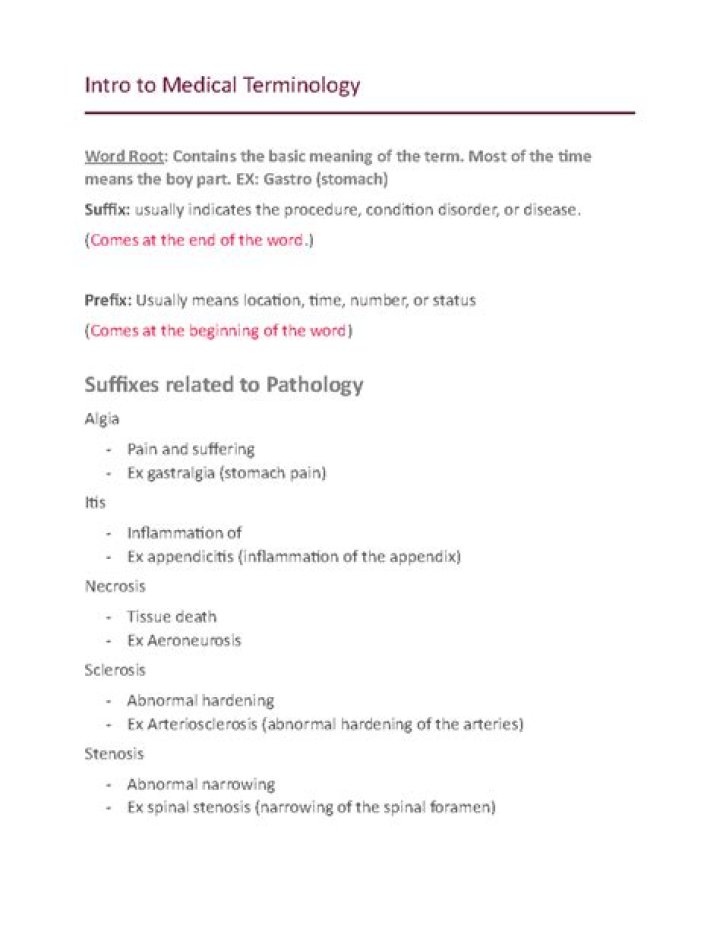 fin medical term
