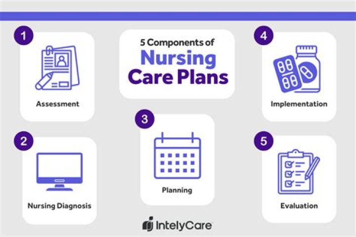 five components of nursing