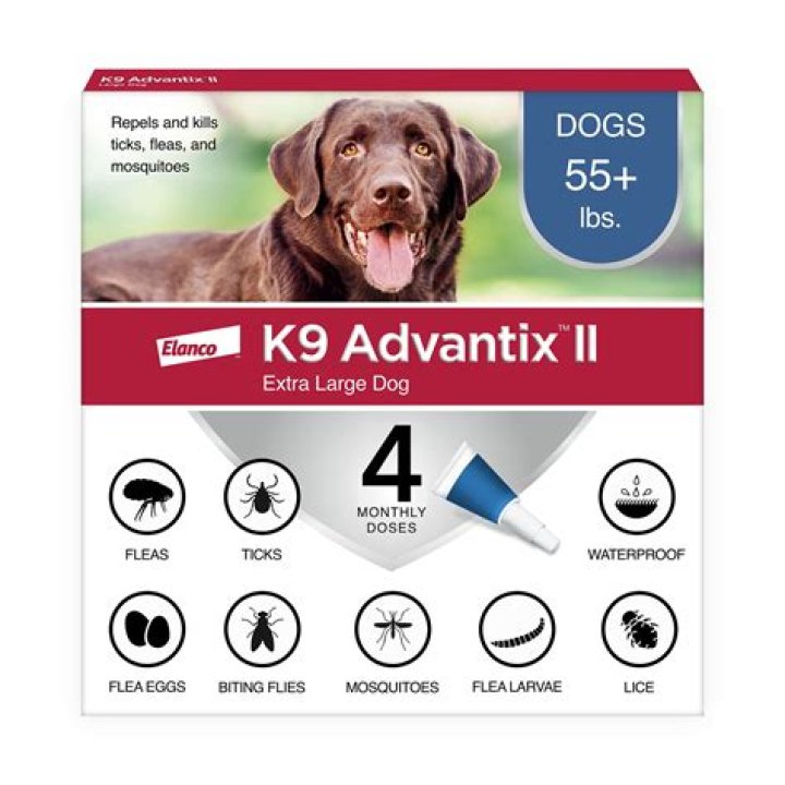 flea bombs petsmart