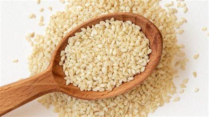 flea eggs sesame seeds