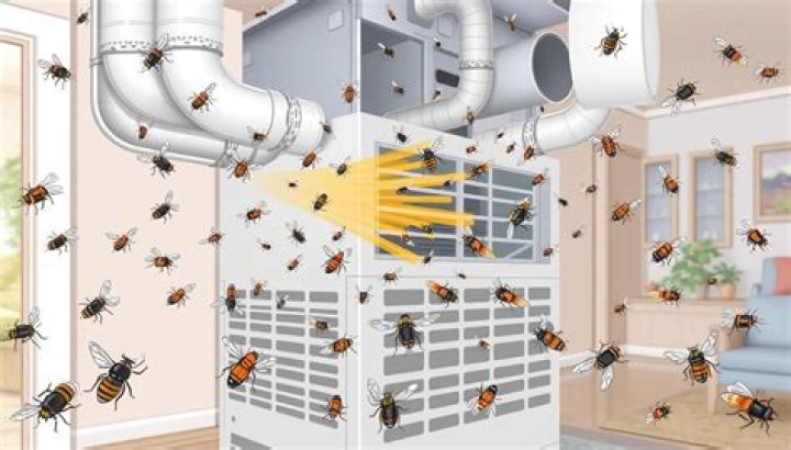 flies coming through vents
