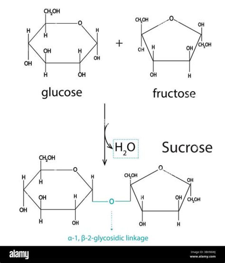 formation reaction